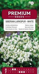 Larkspur Siberian White Seed